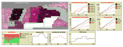 Fig. 1. Captura de pantalla del ABM luego de un año de simulación, considerando únicamente los aportes de N de los animales.