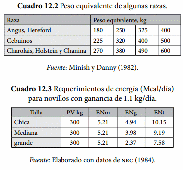 Requerimientos Nutricionales - Image 2