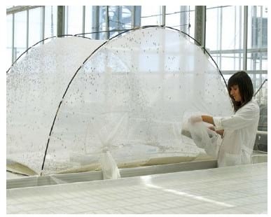 Los insectos como fuentes de proteína y otros nutrientes - Image 5