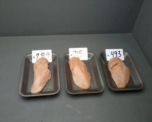 Efecto del estrés calorico sobre la relación heterofilo linfocito y la calidad de carne de aves - Image 1