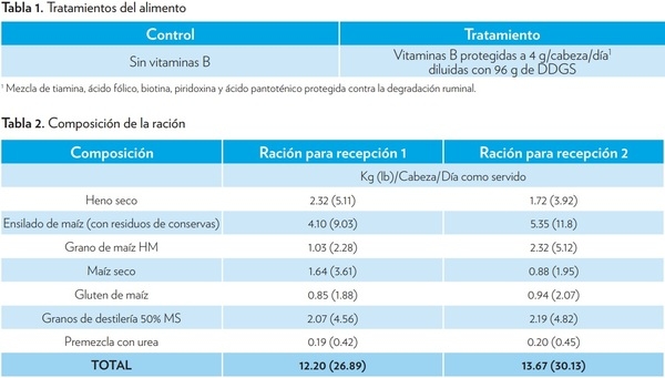 EFECTO DE LA SUPLEMENTACIÓN DE VITAMINAS B PROTEGIDAS DURANTE EL PERÍODO DE RECEPCIÓN EN EL DESEMPEÑO DEL GANADO DE CARNE - Image 1
