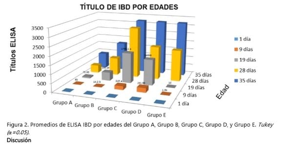 Evaluación de cuatro programas de vacunación desafiadas contra la enfermedad de la bolsa de fabricio bajo condiciones controladas - Image 4