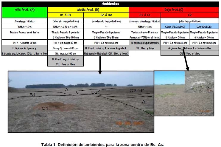 Enfoque de una agricultura por ambientes para el manejo de N y P - Image 2