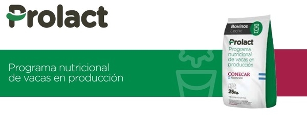 Cómo proteger la productividad ante el estrés calórico en vacas lecheras - Image 5