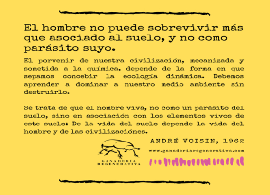BOTERO - CAPÍTULO IX PASTOREO RACIONAL INTENSIVO VOISIN UNA OPCIÓN PARA INTENSIFICAR Y HACER MÁS AMIGABLE CON EL AMBIENTE LA PRODUCCIÓN CON RUMIANTES EN PASTOREO EN EL TRÓPICO - Image 1