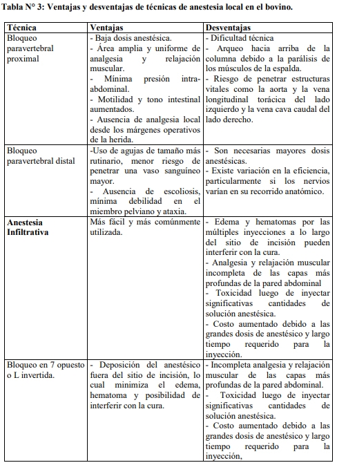 Obstetricia y neonatología bovina: VII. Anestesias en obstetricia - Image 6