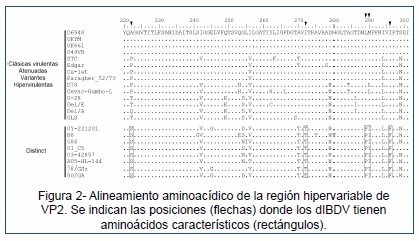 Desarrollo de un ensayo de PCR en tiempo real para la detección de un linaje distinto de IBDV (dIBDV) - Image 2