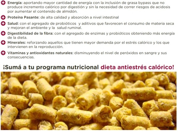 Cómo proteger la productividad ante el estrés calórico en vacas lecheras - Image 1