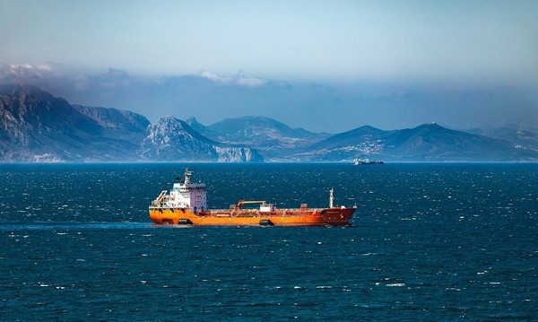 El misil que desordena el mercado del pollo - Image 1