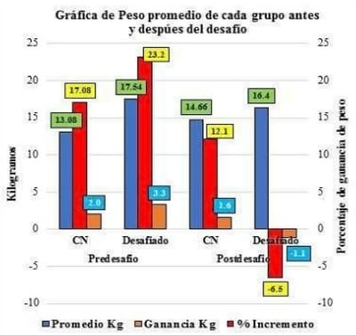 Impacto clínico y productivo en lechones SPF destetados tras la Infección experimental con un aislamiento del Virus de la diarrea epidémica Porcina - Image 1