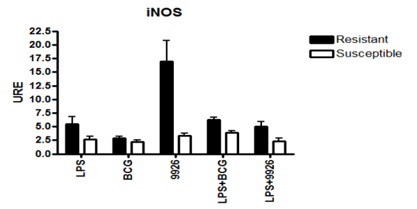 Identificación de biomarcadores de resistencia natural a Mycobacterium bovis en el ganado bovino - Image 12