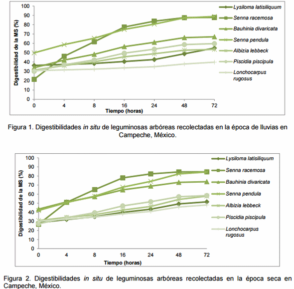 Especies nativas de leguminosas para la alimentación del ganado en zonas tropicales - Image 1