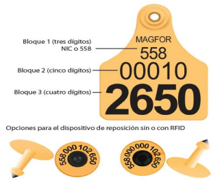 FIGURA 4. Numeración de los aretes 