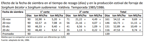 Manual Cultivo del Sorgo Forrajero - Pastoreo y soiling de verano - Image 1