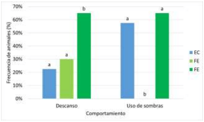 Figura 2. Frecuencia de descanso y uso de sombra (%) de novillitos en distintos modelos de engorde intensivo en presencia de ITH> 76. 