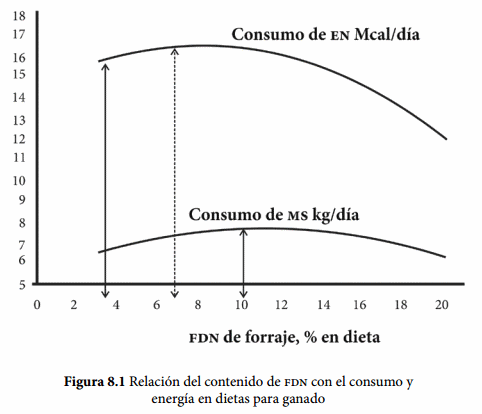 Forrajes en corrales de engorda - Image 3