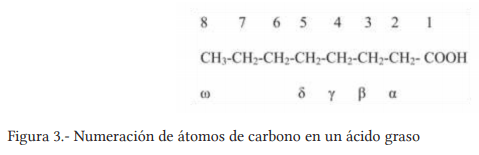 Propiedades nutracéuticas de la carne de bovinos - Image 3