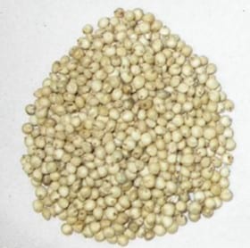 El Sorgo, un cultivo perfecto - Image 4