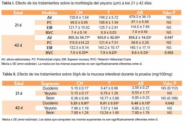 Efecto en rendimiento, morfología e inmunidad intestinal en pollos de engorde suplementados con ácidos orgánicos y aceites esenciales protegidos - Image 2