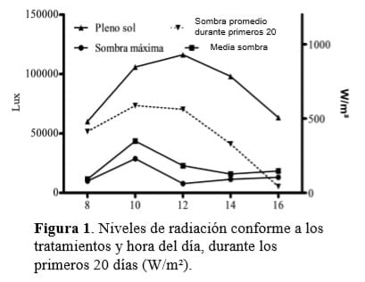 Crecimiento del Axonopus jesuiticus bajo diferentes niveles de sombra de Inga uruguensis en estado de SC, Brasil. - Image 1