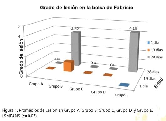 Evaluación de cuatro programas de vacunación desafiadas contra la enfermedad de la bolsa de fabricio bajo condiciones controladas - Image 3