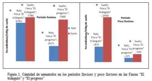 Diversidad de nemátodos en pastizales afectados por salinidad en la provincia Granma - Image 2