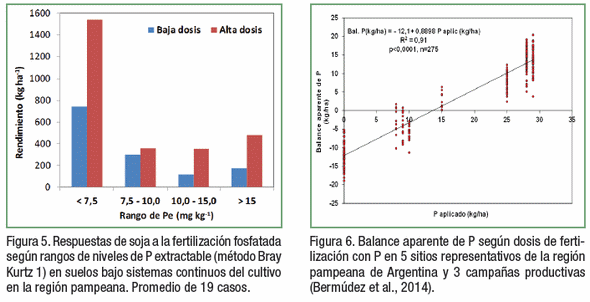 El valor de los estudios de largo plazo para el manejo de la nutrición de soja - Image 6
