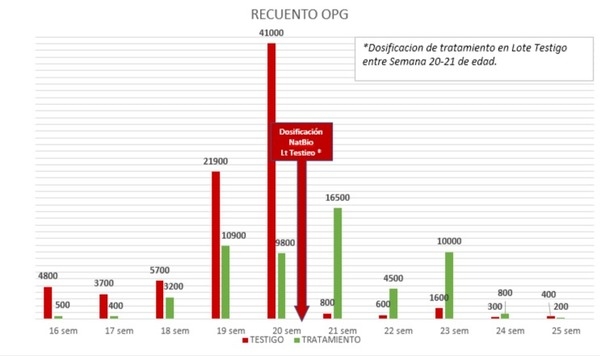 Caso de éxito en producción de huevos - Image 2