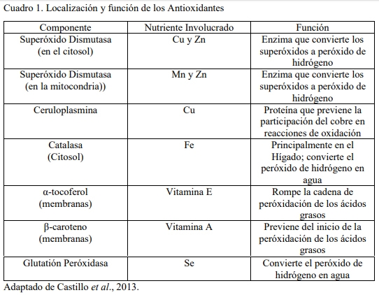 Actualización de criterios para la suplementación de minerales traza a los bovinos - Image 1
