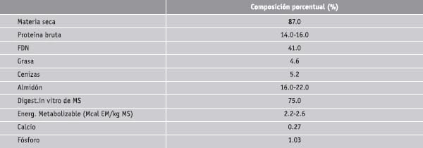 Subproductos del grano de trigo - Image 1
