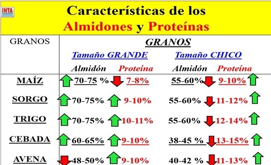 7° MITO ¿EL GRANO DE MAÍZ ES EL MEJOR DE TODOS? Similitudes y diferencias entre los granos de cereal. - Image 7