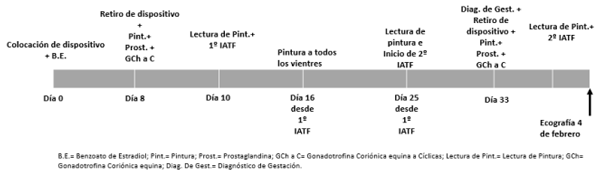  Figura 1. Línea de tiempo de los trabajos realizados a través de la primera y segunda IATF. 