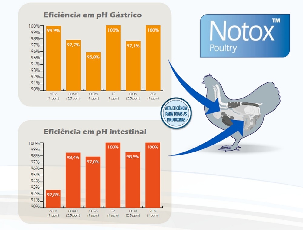 Solución para el desafío de micotoxinas en aves de corral - Image 2