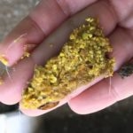 Caso de éxito en pigmento de pollo - Image 2