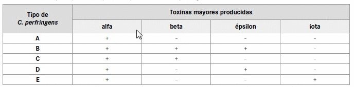 Enterotoxemia bovina - Image 1