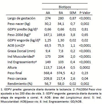 Tabla 1. Efecto de la raza paterna Angus (AA) o Brangus (BA) sobre el crecimiento de los terneros desde la cría hasta la terminación y faena.