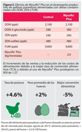 Lo último en gestión de riesgos de micotoxinas para aves - Image 5