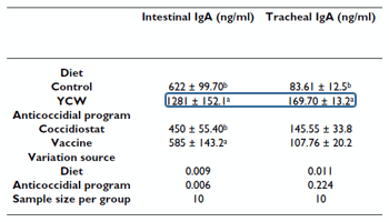 Tabla 5: Efecto de una dieta con pared celular de levadura en la respuesta inmune de mucosa. *YCW (yeast cell Wall): pared celular de levadura con manano oligosacáridos. * Intestinal IgA: IgA intestinal. * Tracheal IgA: IgA traqueal. Gómez-Verduzco, G. et al. (2009).