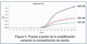 Desarrollo de un ensayo de PCR en tiempo real para la detección de un linaje distinto de IBDV (dIBDV) - Image 6