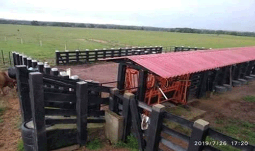 FOTOGRAFÍA 11. Embarcadero fijo localizado en el extremo de la manga, enseguida de las puertas divisorias localizadas a ambos lados, después del brete metálico y de la balanza. Externo al corral, para dar fácil acceso al transporte de ingreso y salida de animales. FUENTE: Imágenes sobre “Corrales para ganado” oogle, 2019.