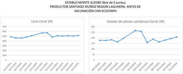 Bacterina Eco Staph PM+3 y Auto bacterinas - Image 3