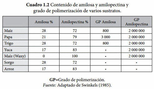 Estructura del Almidón - Image 2