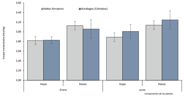 Contenido en energía metabolizable (Mcal/kg) en hojas y raíces de nabos forrajeros y rutabagas medido en dos etapas del cultivo: enero y junio. San José de la Mariquina. Temporada 2006/2007.