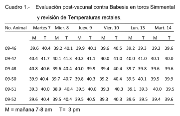 Vacuna contra piroplasmosis en bovinos de Tamaulipas, ventajas y beneficios. - Image 15