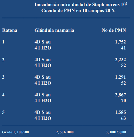 Bacterina Eco Staph PM+3 y Auto bacterinas - Image 13