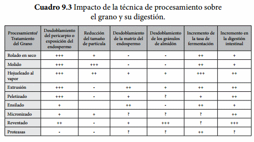 Procesamiento de los granos - Image 3