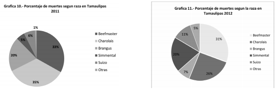 Vacuna contra piroplasmosis en bovinos de Tamaulipas, ventajas y beneficios. - Image 12