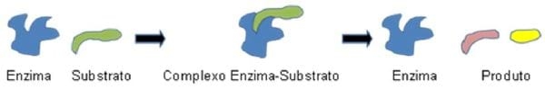 NUTRIAD presenta la encuesta de 2016 sobre micotoxinas en maíz y triticale de Polonia - Image 3