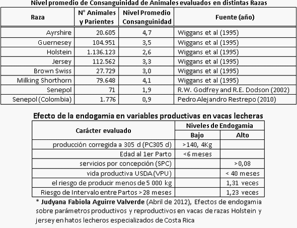 Cruzamientos - Image 4