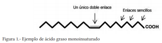 Propiedades nutracéuticas de la carne de bovinos - Image 1